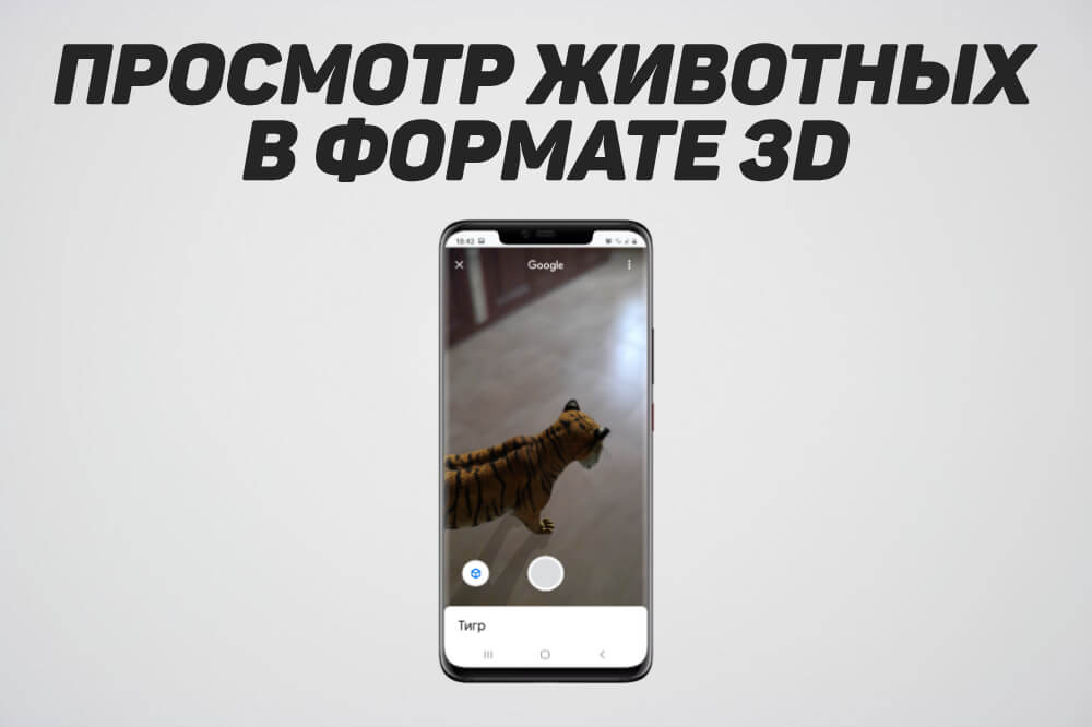 Как сделать фото или видео тигра и других 3D животных в Google на iPhone